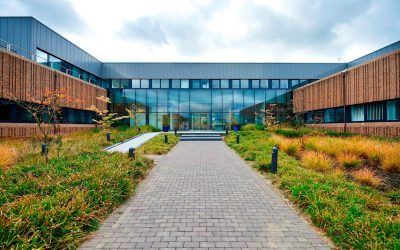 Watson & Crick Hill I